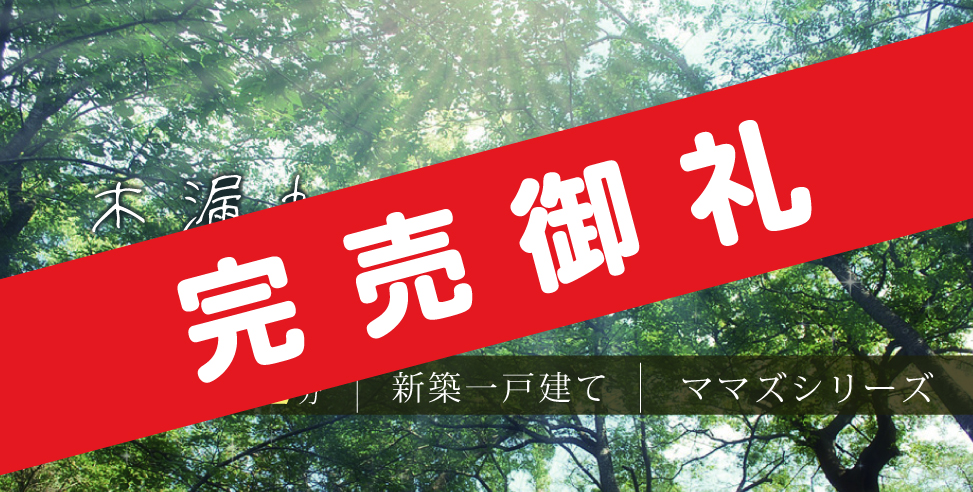 《完売御礼》ロマンティア鶴瀬(羽沢Ⅱ)